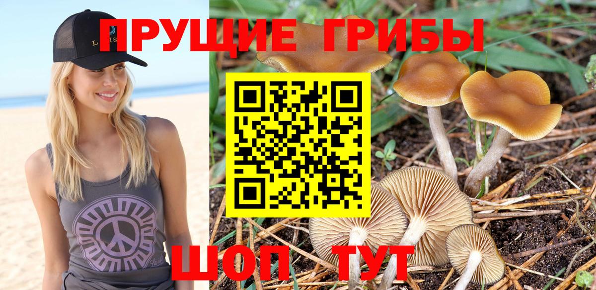Галлюциногенные грибы прущие грибы Ленинск-Кузнецкий