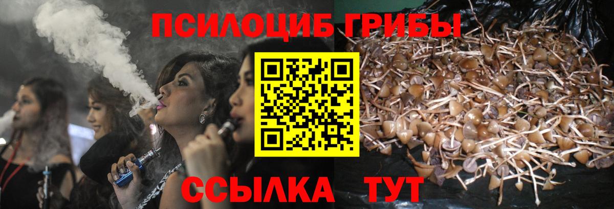 Галлюциногенные грибы мухоморы  Галлюциногенные грибы прущие грибы  Ленинск-Кузнецкий  Вход с VPN 