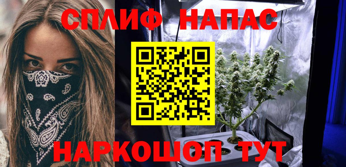 Альфа ПВП Ленинск-Кузнецкий