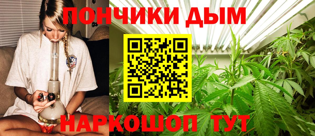 Конопля план Ленинск-Кузнецкий